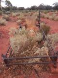 image of grave number 512998